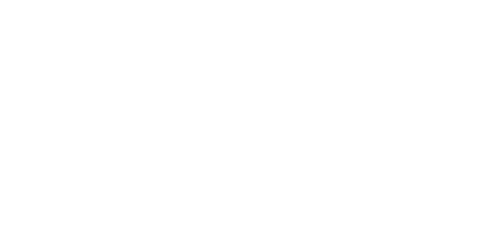 title-white-divider